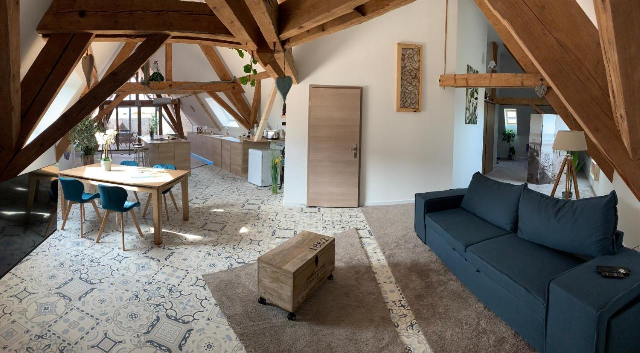 Nid De Cigogne Apartment Illhaeusern Exterior photo